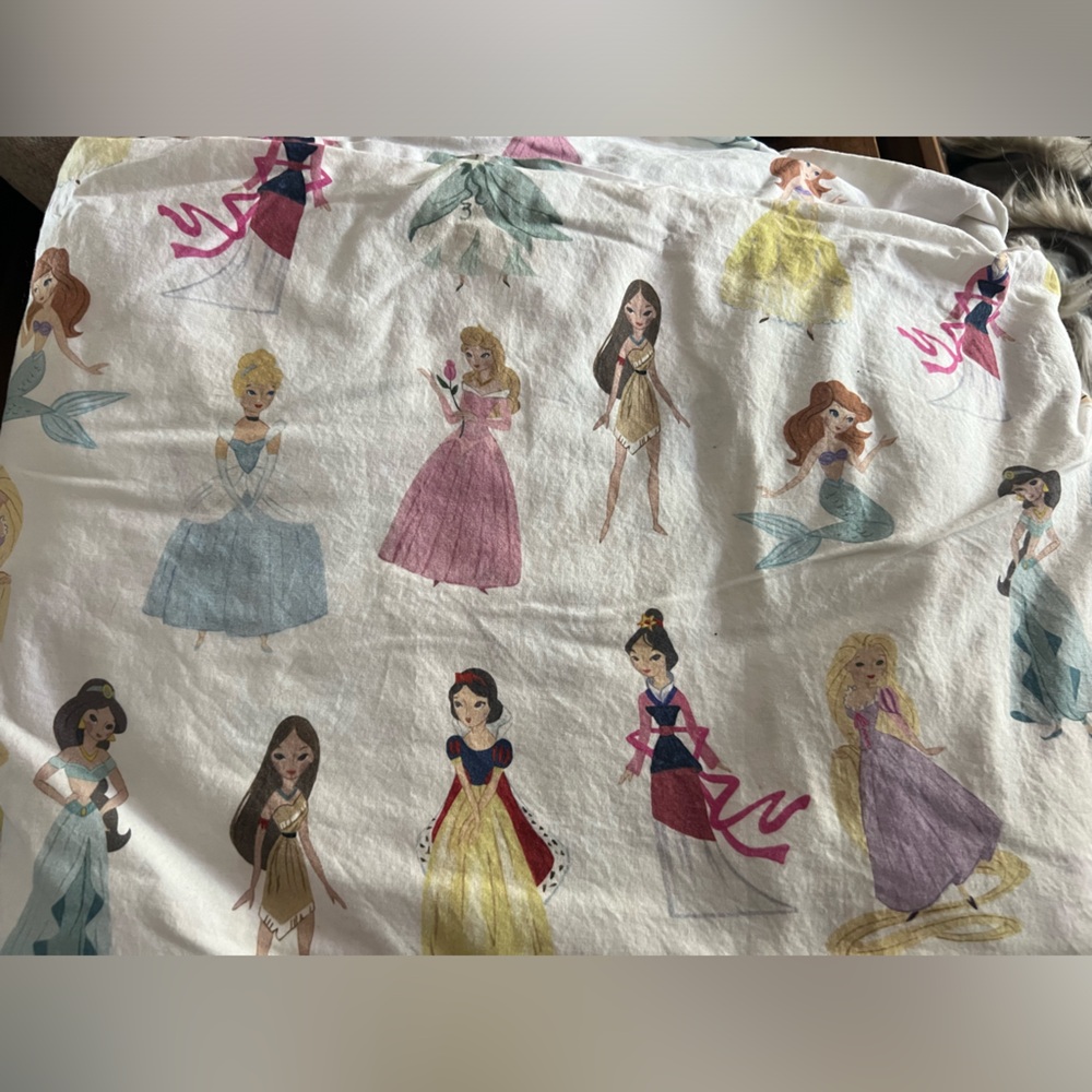 Pottery Barn Kids Twin Disney Princess Sheet Set